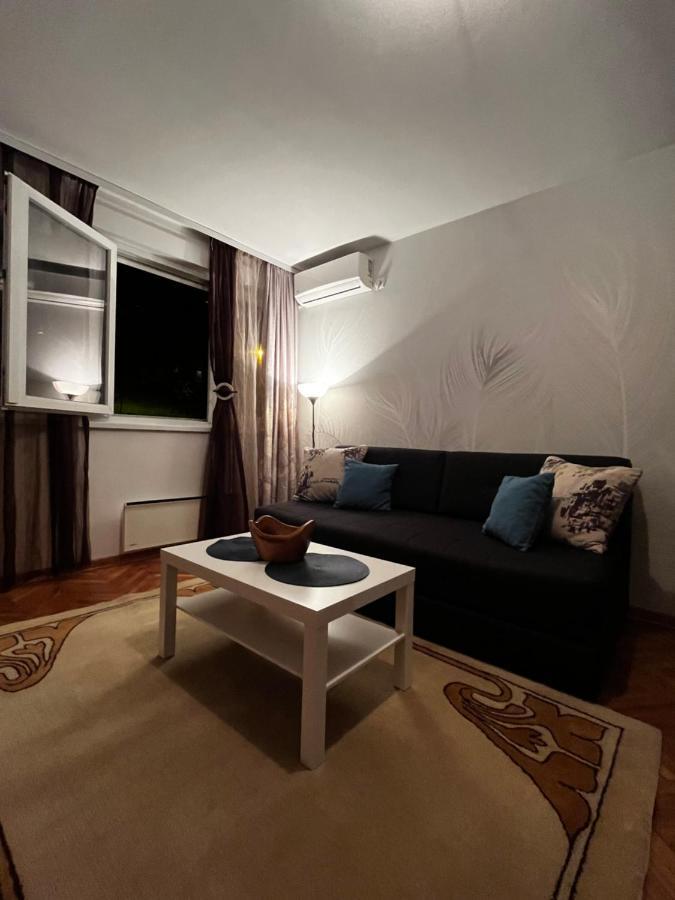 Apartman Sasha 2 Belgrad Exterior foto
