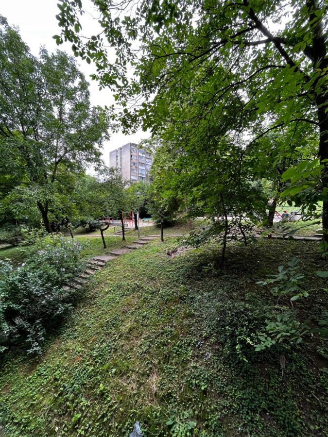 Apartman Sasha 2 Belgrad Exterior foto