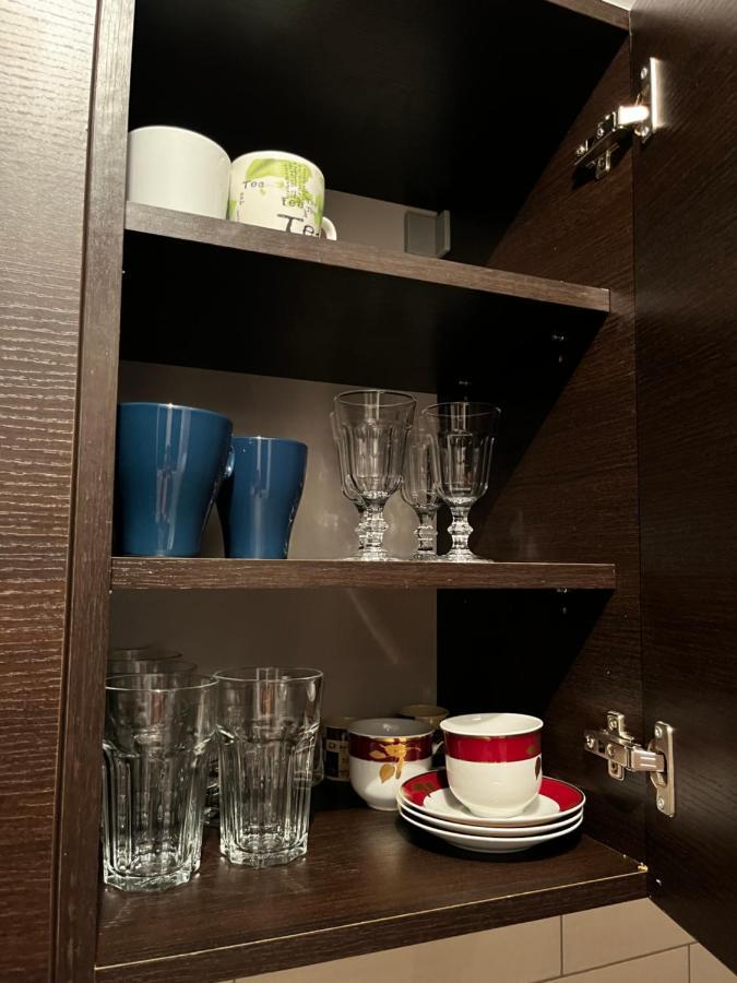 Apartman Sasha 2 Belgrad Exterior foto