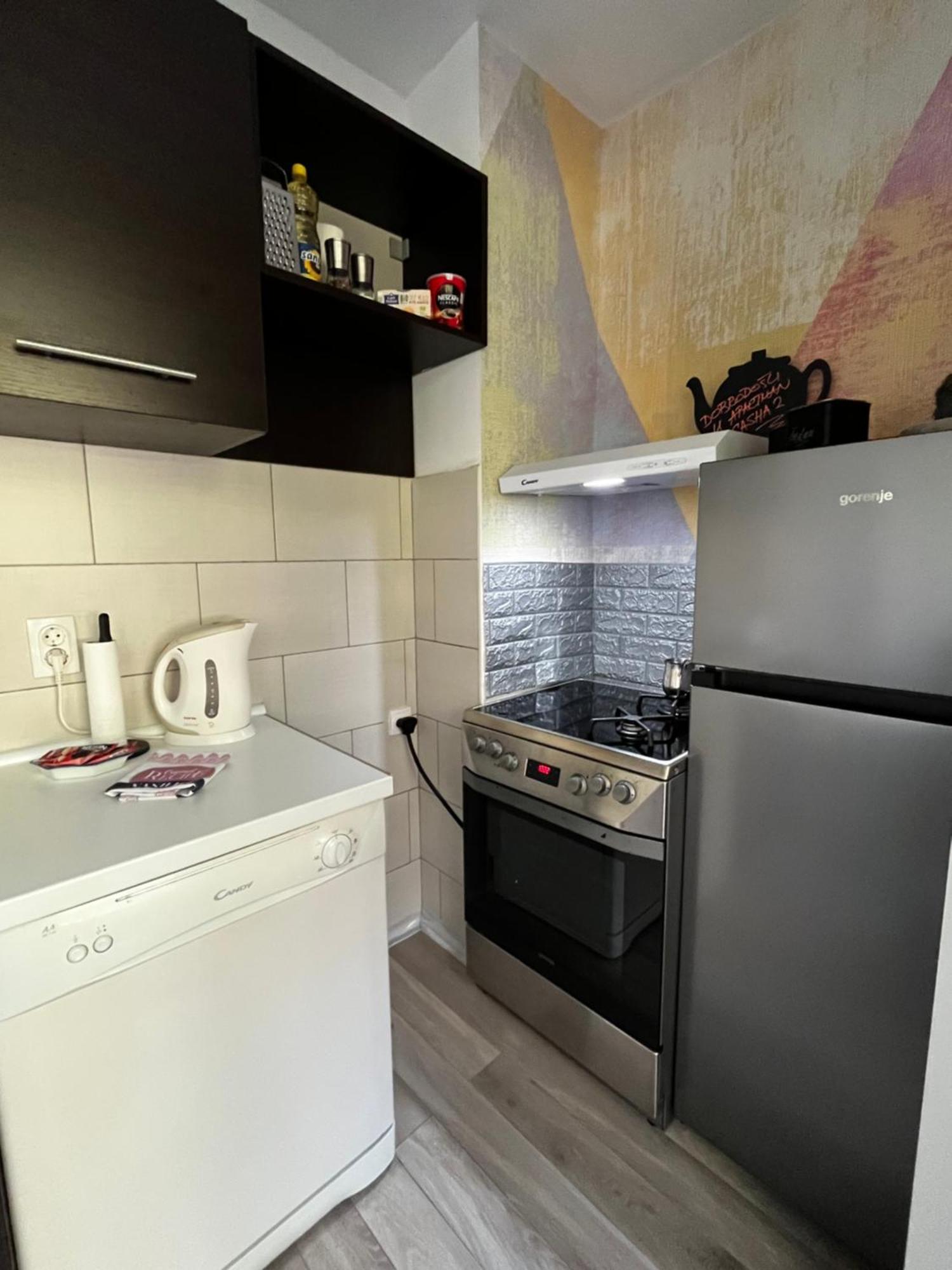 Apartman Sasha 2 Belgrad Exterior foto